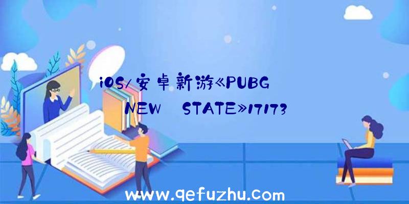 iOS/安卓新游《PUBG: